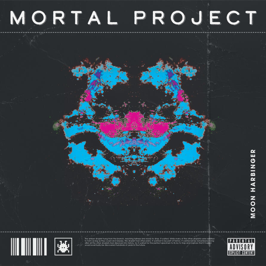 Int Heavy Metal Bedroom – Album Sleeves - Not used but I love it