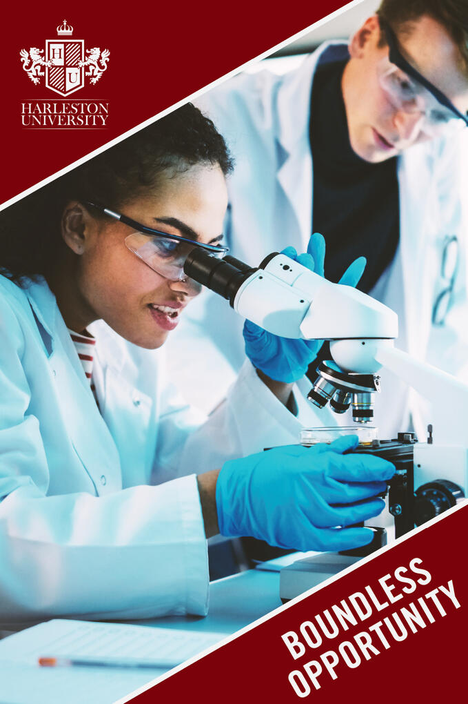 Int University Library - Promo Posters